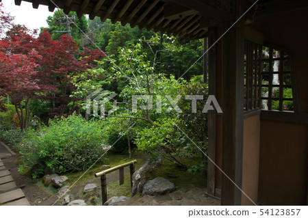 鎌倉Kaizoji鮮花寺 鎌倉Kaizoji鮮花寺 54123857