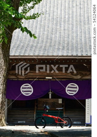 Hanashaubu flower bouquet iris 54124064