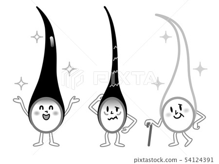 Hair 3 Types Monochrome Illustration Stock Illustration