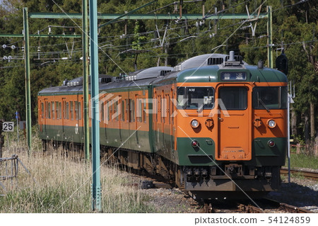 Echigo Line 115 series (Shonan color) near the end 54124859