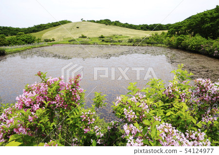 Azumayama early summer Haraike Kobo-no-ha prairie grassland tree fence Azumayama early summer Haraike Kobo-no-ha prairie grassland tree fence 54124977