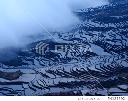 雲南，元，中國水稻梯田，多一樹水稻梯田，元陽 54125392