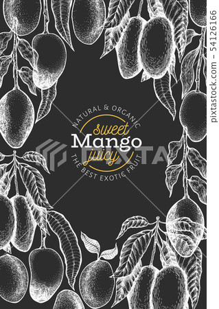 Mango design template. Hand drawn vector tropic 54126166