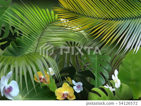 Tropical Background with Photorealistic Vegetation Tropical Background with Photorealistic Vegetation 54126572