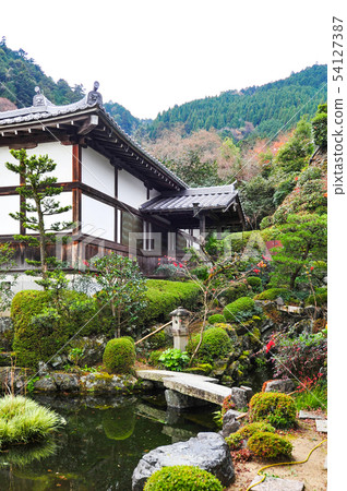 吉峰-DERA 54127387