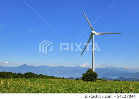 Inawashiro lake and Mt. Hiyama with sunflower field and windmill on the Nunobiki plateau 54127844