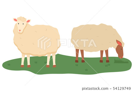 Sheep on Pasture, Animals Livestock Farming Vector 54129749
