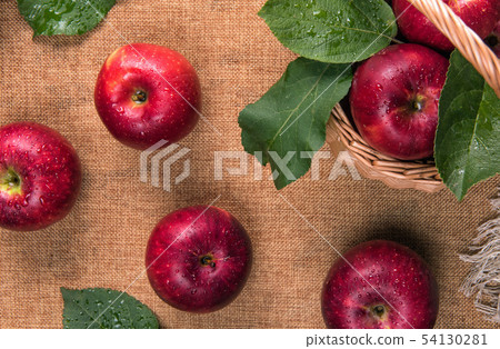 Close up of wet red apples with green leaves 54130281