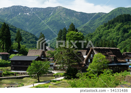(富山縣)Ainokura合掌村當水稻種植 (富山縣)Ainokura合掌村當水稻種植 54131486