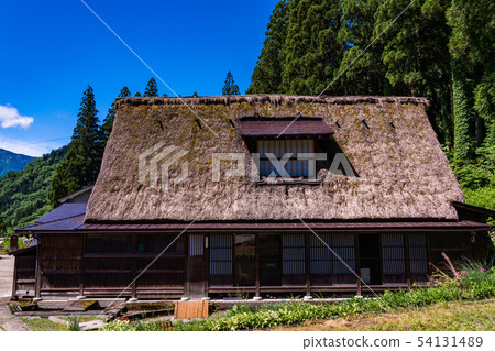 (富山縣)Ainokura合掌村當水稻種植 (富山縣)Ainokura合掌村當水稻種植 54131489