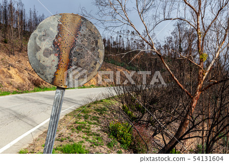 State of forests and valleys after the disaster and fires in Monchique. Portugal. 54131604