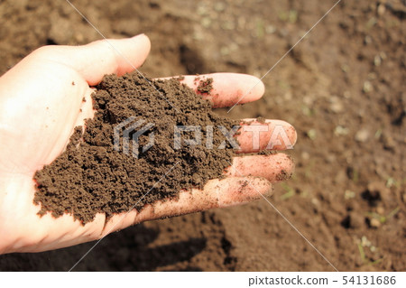 Field soil 54131686