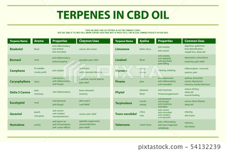 Terpenes in CBD Oil horizontal infographic 54132239