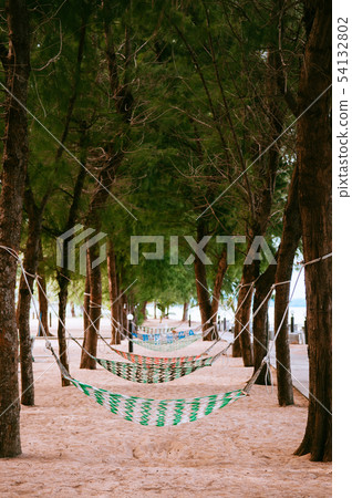 Colourful hammocks hanging on pine tree on beach Colourful hammocks hanging on pine tree on beach 54132802