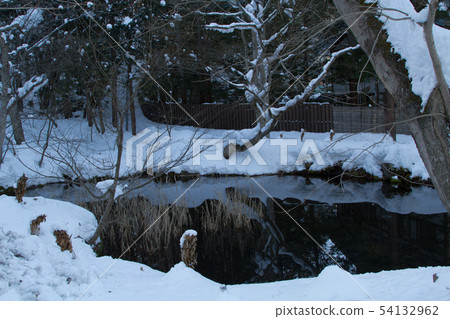 Snow Monkey Park 19 54132962