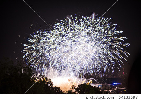 Salute in the night sky. Bright texture of festive 54133598