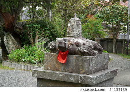 [Shikoku 88 Temples] No. 39 Enkoji Temple's Legendary Sea Turtle Statue, Sukumo City, Kochi Prefecture 54135189