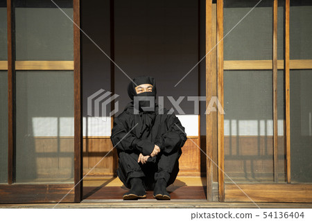 Ninja 54136404