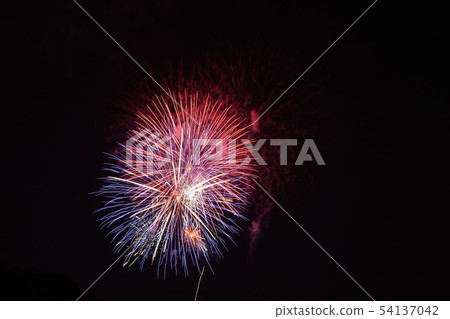 煙花 54137042