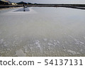 Salt work 54137131