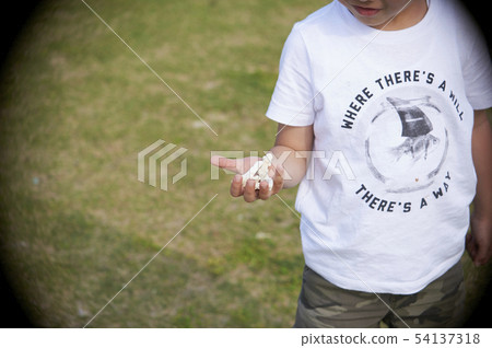 孩子拿起一隻風箏 孩子拿起一隻風箏 54137318