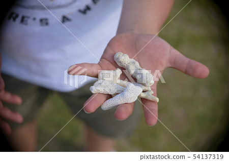 Boy picking up a wolf Boy picking up a wolf 54137319