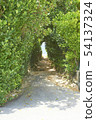 Shortcut to the sea 54137324