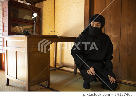 Ninja Ninja 54137463