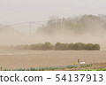 Pollen and yellow sand 54137913