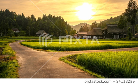 Summer rural landscape (at dusk of Ashinoshima ring village) 54138289