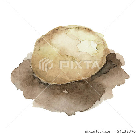 Potato potato potato field watercolor 54138376