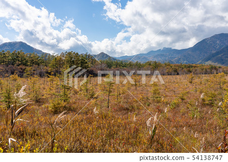Tochigi Prefecture Nikko City Senjogahara (October) Tochigi Prefecture Nikko City Senjogahara (October) 54138747