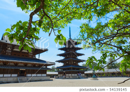 Horyu-ji Temple Five-storied pagoda Kindo Plum tree Horyu-ji Temple Five-storied pagoda Kindo Plum tree 54139145