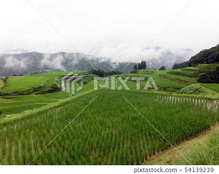 Chikirida（Tanada）在高知縣高知縣土佐鎮 54139239