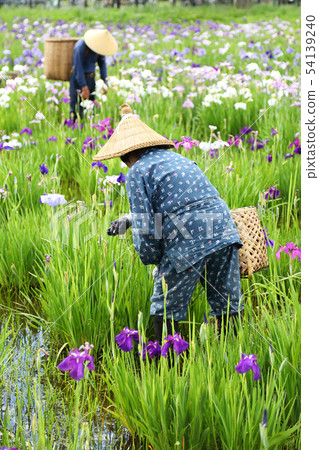 Mizumoto Park Rei Festival Mizumoto Park Rei Festival 54139240