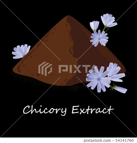 Instant chicory root roasted powder, and fresh chicory flowers. Natural source of inulin, black Instant chicory root roasted powder, and fresh chicory flowers. Natural source of inulin, black 54141760