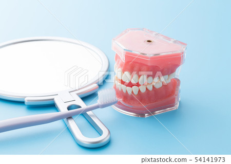 牙齒保健 54141973