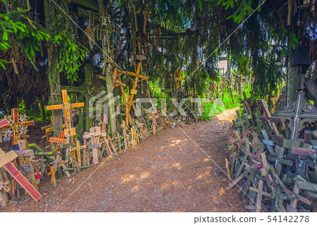 Landscape of Hill of crosses, Kryziu kalnas, Lithuania Landscape of Hill of crosses, Kryziu kalnas, Lithuania 54142278
