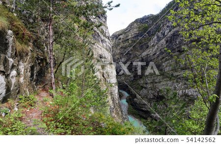 the canyon in area of Villanova. Belluno. 54142562