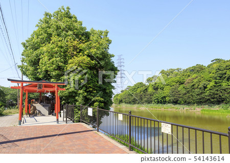 大阪,山上古墓(Otonon Bird Onoyama Ancient Tombs) 大阪,山上古墓(Otonon Bird Onoyama Ancient Tombs) 54143614