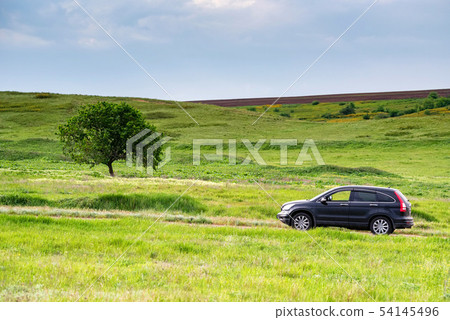 Crossover parked in the coutry on road next to steppe field Crossover parked in the coutry on road next to steppe field 54145496