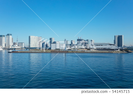 豐洲市場 54145715