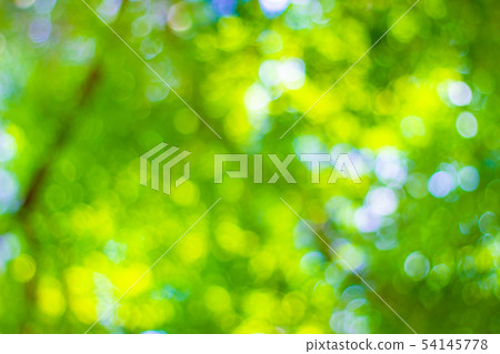 abstract blur of nature with the bokeh of light abstract blur of nature with the bokeh of light 54145778