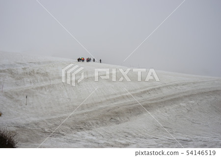Tateyama Kurobe Alpine Route·雨季的Murodo 54146519