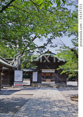 Mishima Taisha 54147353