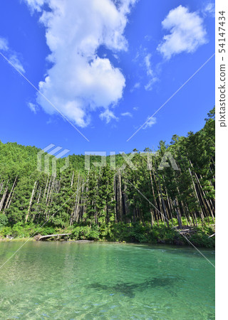 Takada No. 1 Natural Pool (Shingu City, Wakayama Prefecture) Takada No. 1 Natural Pool (Shingu City, Wakayama Prefecture) 54147434