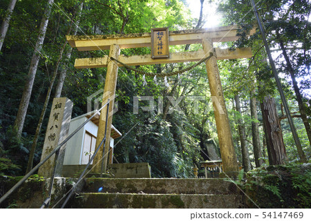 Siga Hachiman Shrine (Wakayama Shingu City) 54147469
