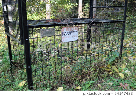 Trap of whale capture Trap of whale capture 54147488