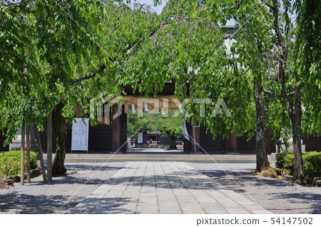 Mishima Taisha 54147502