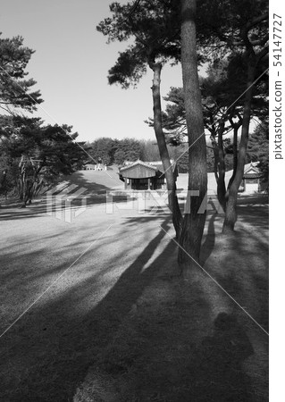 長隆,Seorungung,Goyang-si,Gyeonggi-do 長隆,Seorungung,Goyang-si,Gyeonggi-do 54147727